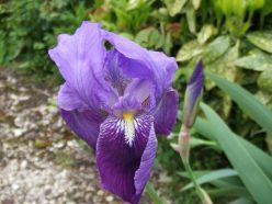 Location Gîte  au  Lac  du  Der à Outines   en  Champagne